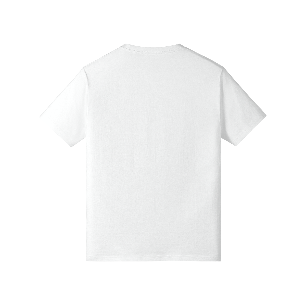 0-Y06-Back Side
