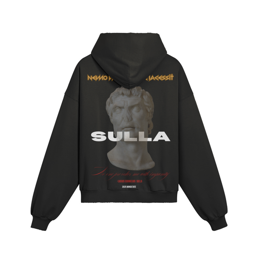 Sulla Oversized Distressed Hoodie