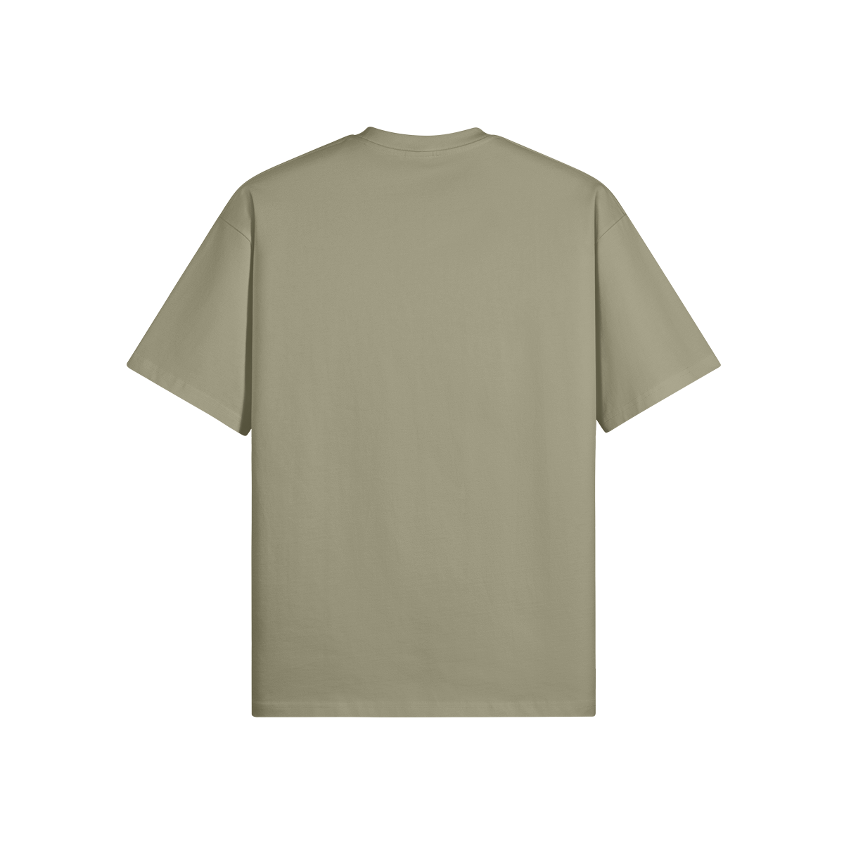 0-YCV-Back Side